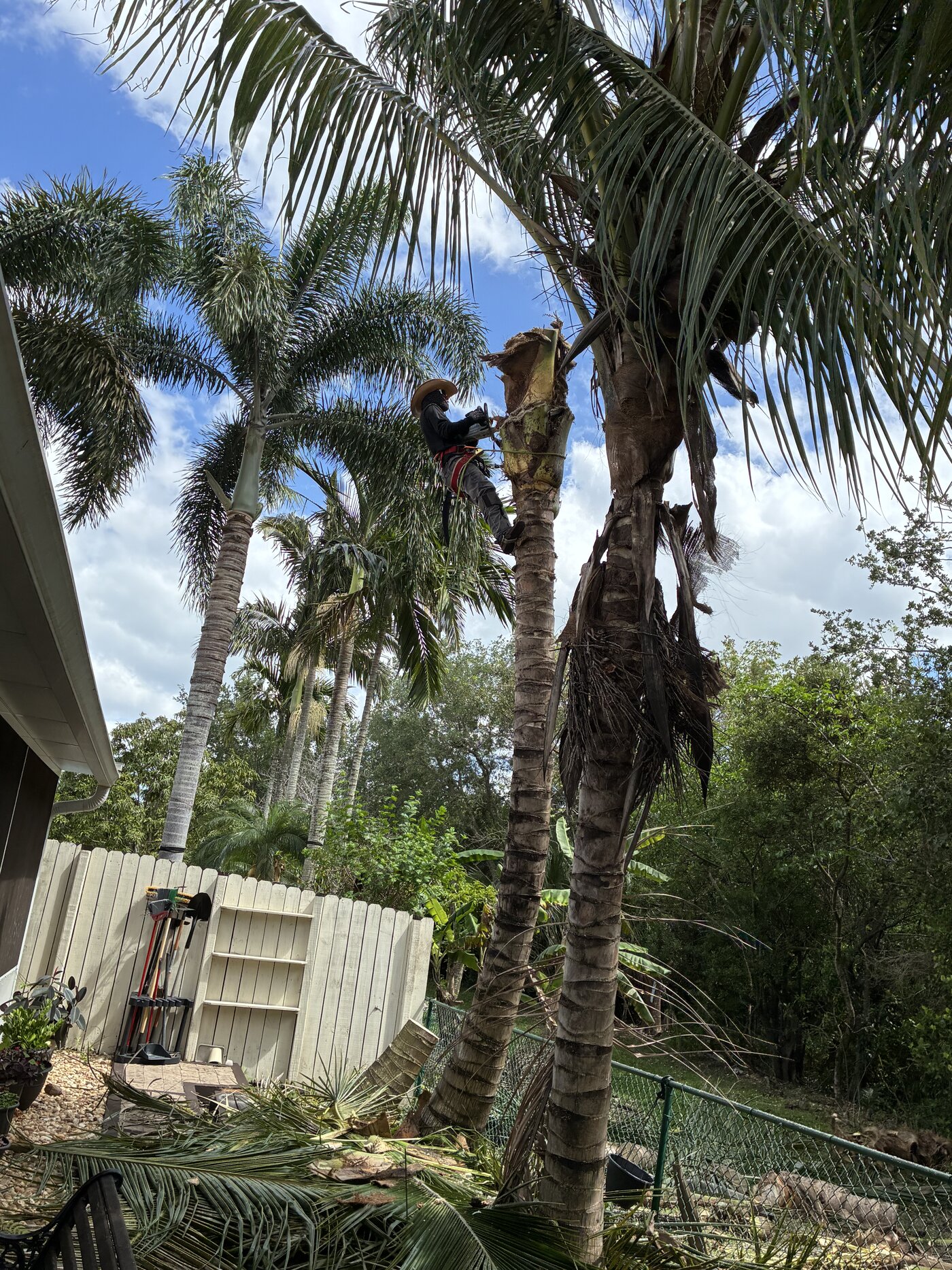 Lopez Tree Service crew