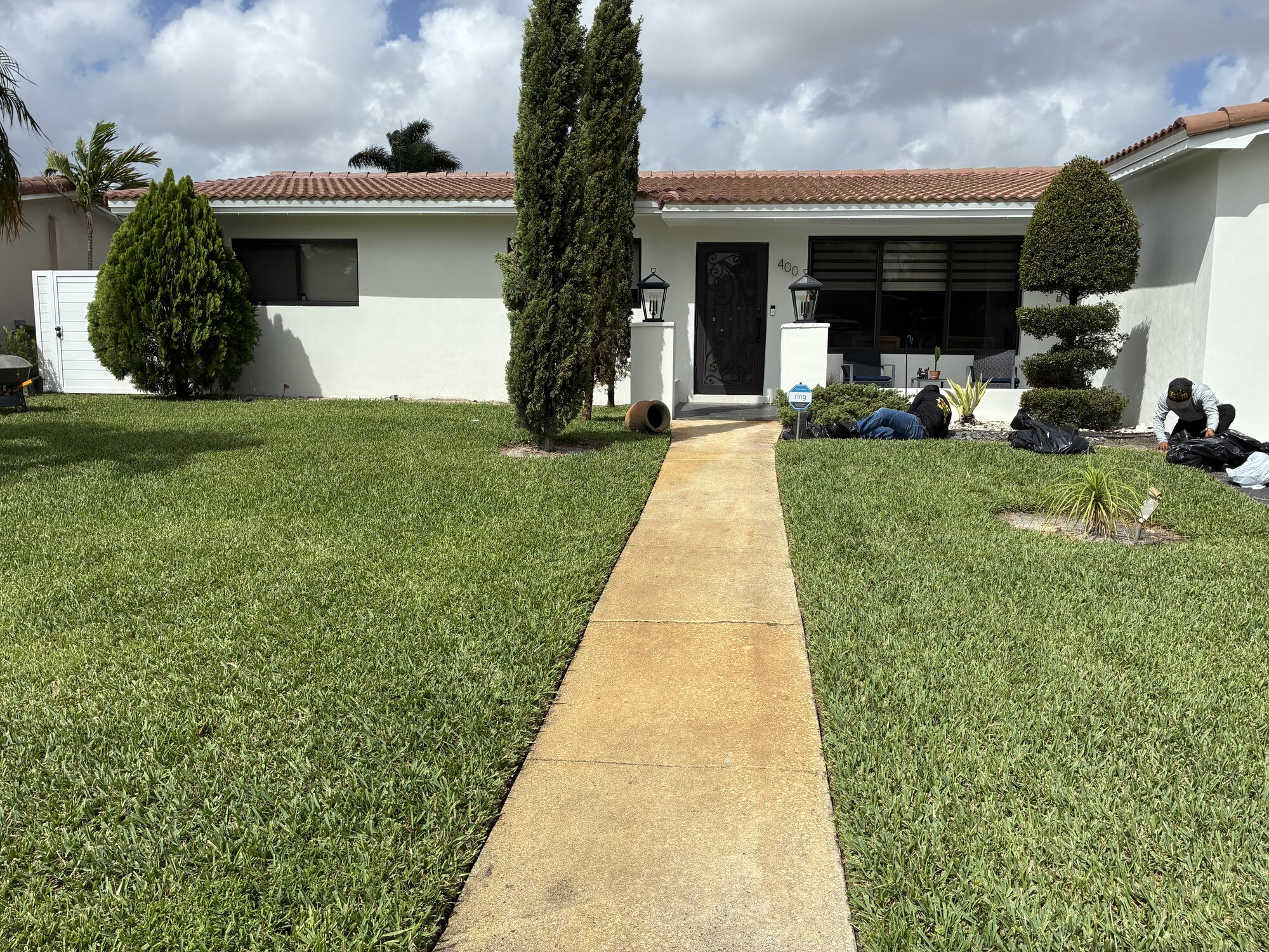 Italian cypress front yard