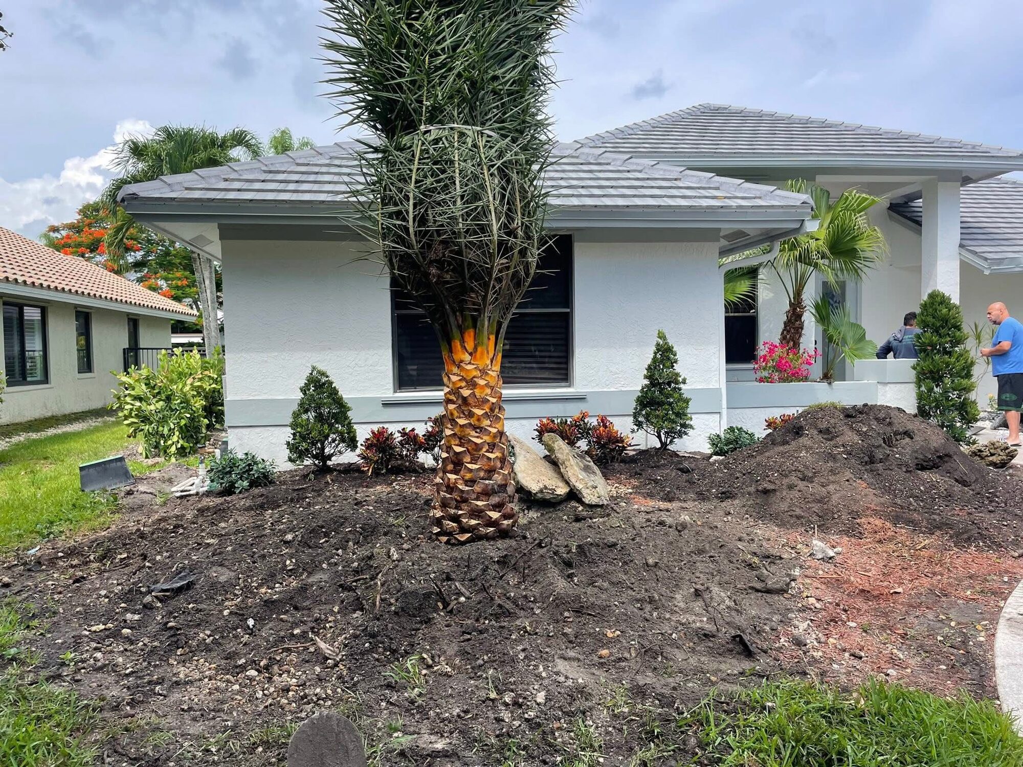 New royal palm centerpiece